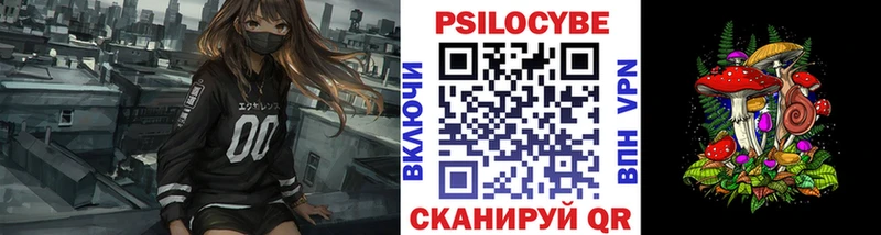 Псилоцибиновые грибы прущие грибы  Тында 